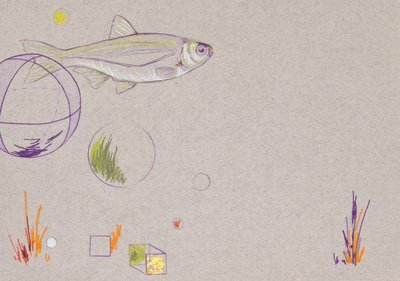 Floating, 2014（紙に水彩色鉛筆と金箔） 作： Eleanor Grafton