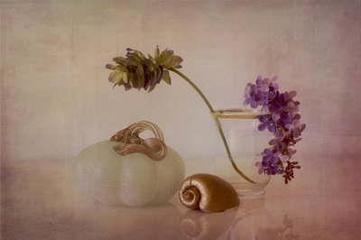 穏やかなカボチャの静物画 作： Elena Arjona