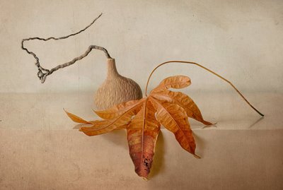 秋の自然を題材にした静物画 作： 