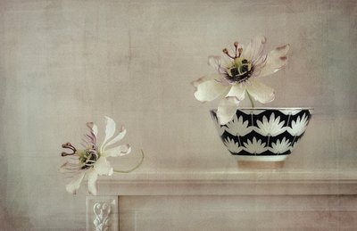 パッションフラワーの静物画 作： Elena Arjona