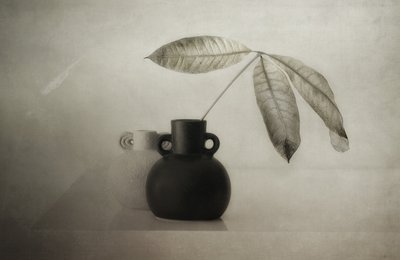 穏やかな植物の静物画 作： Elena Arjona