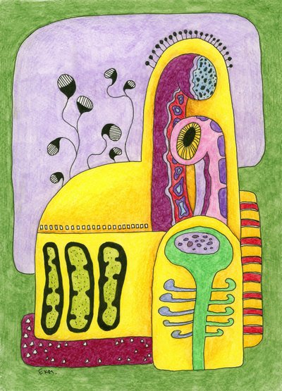  作： 