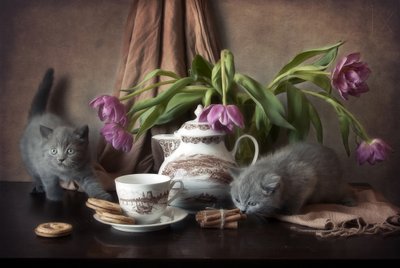 ほっこり子猫のお茶の時間 作： Eleonora Grigorjeva