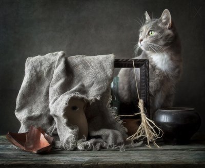 ヴィンテージの静物画：猫 作： Eleonora Grigorjeva