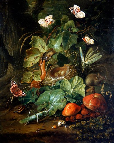 森の中の果物と蝶の静物画（油彩・パネル） 作： Elias van den Broeck