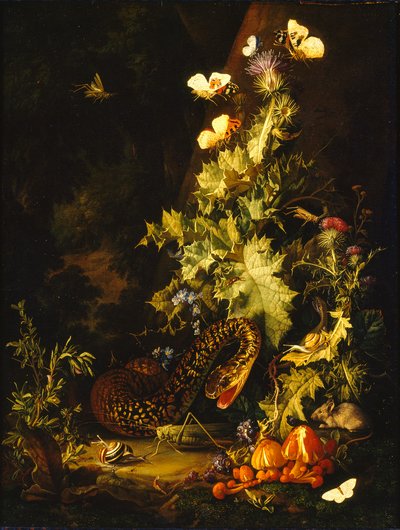 蛇のある静物、18世紀初頭 作： Elias van den Broeck