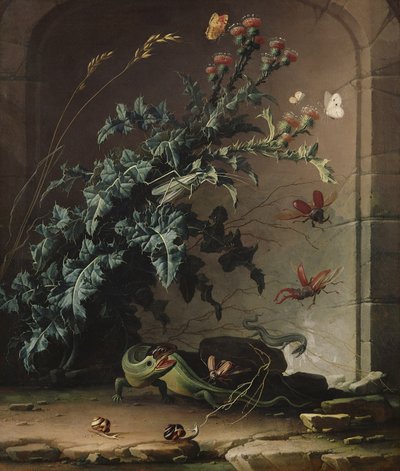 アザミ、トカゲ、昆虫との石のニッチ、1690 作： Elias van den Broeck