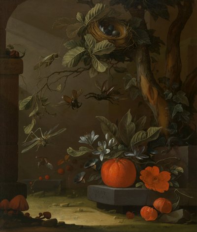 ヴィヴァット・レックス 作： Elias van den Broeck