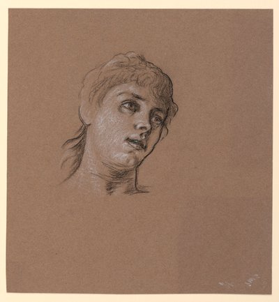 デッサン、少女の肖像画、1885年頃 作： エリフ・ヴェダー