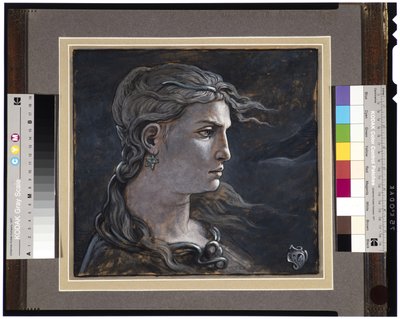1878年メデューサの首 作： Elihu Vedder