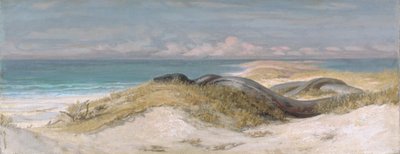  作： Elihu Vedder