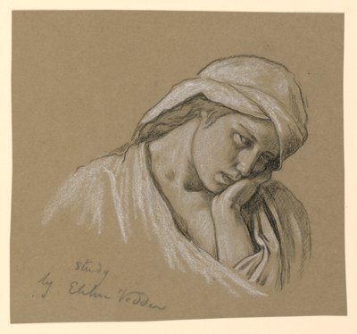 衣装を着た人物の肖像 作： Elihu Vedder