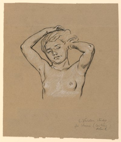 「ヴィーナス」の習作 作： Elihu Vedder