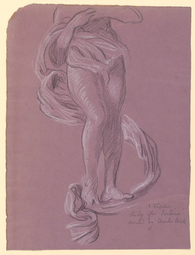 「運命」の研究 作： Elihu Vedder