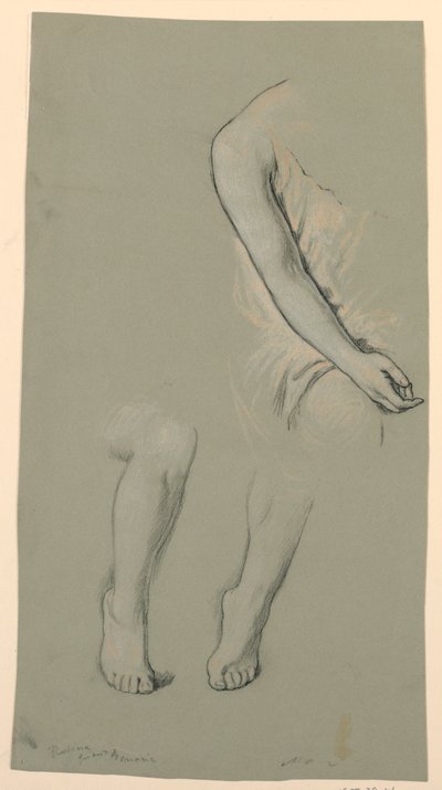 モデルの検討 作： Elihu Vedder