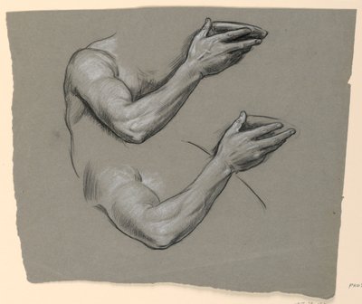 腕の研究 作： Elihu Vedder