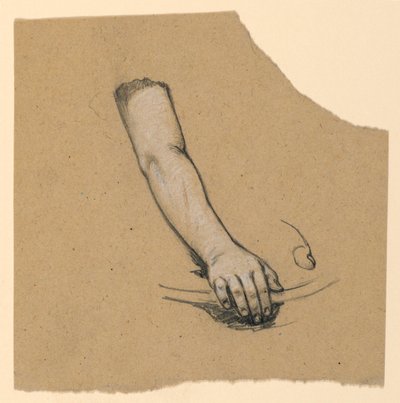 手から上腕二頭筋の研究 作： Elihu Vedder
