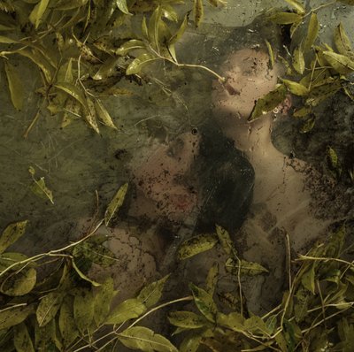 隠された楽園、2015年（スクリーンプリント） 作： Elinleticia Högabo