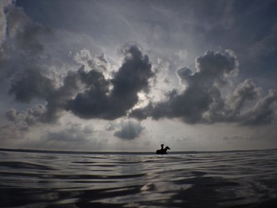 馬の水平線、2014年（スクリーンプリント） 作： Elinleticia Högabo