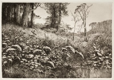 夏の午後 作： Elis F. Miller