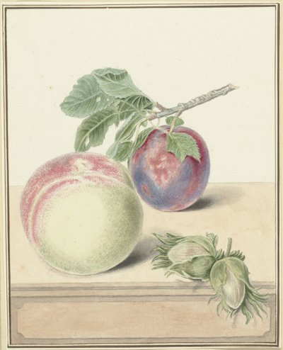ピーチ、プラムの葉といくつかのナッツ 作： Elisabeth Geertruida van de Kasteele
