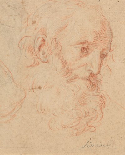  作： Elisabetta Sirani