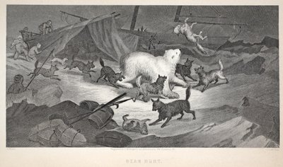 ベアーハント、「ジョンフランクリン卿を求めて2回目のグリンネル遠征」のイラスト、1856年 作： Elisha Kane