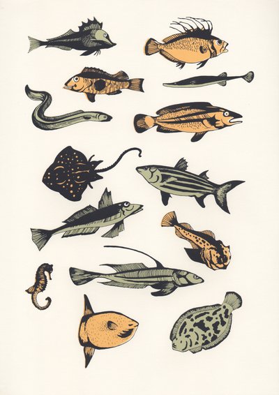 Plain Fish、2015年（スクリーンプリント） 作： Eliza Southwood