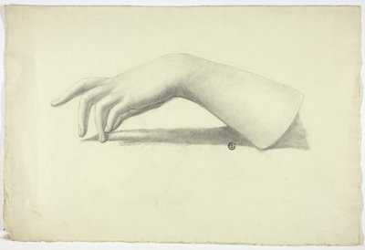 左前腕と手 作： Elizabeth Murray