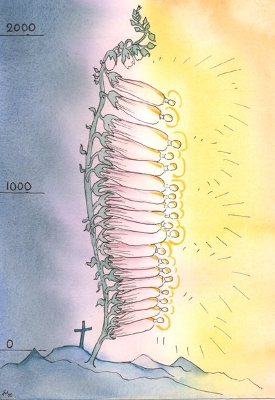 教会は、2003年にすべての年齢で開花するために神聖な生きた芽を出します（紙にw - c） 作： Elizabeth Wang