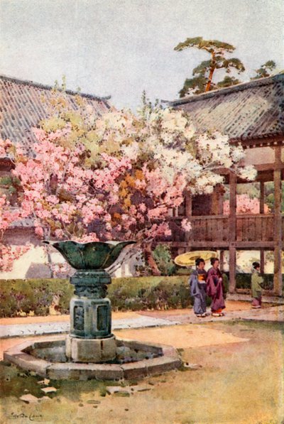 桜、知恩院（カラーリソ） 作： Ella Du Cane