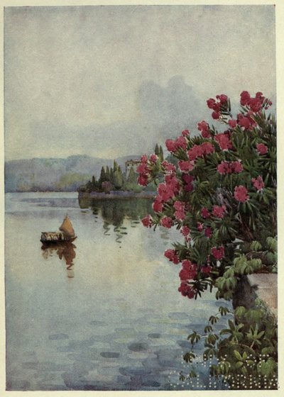 キョウチクトウ、Lago di Como、Richard Bagot 作「The Italian lakes」よりイラスト 作： Ella Du Cane