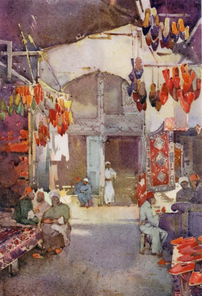 The Shoe Bazaar、カイロ（カラーリソ） 作： Ella Du Cane