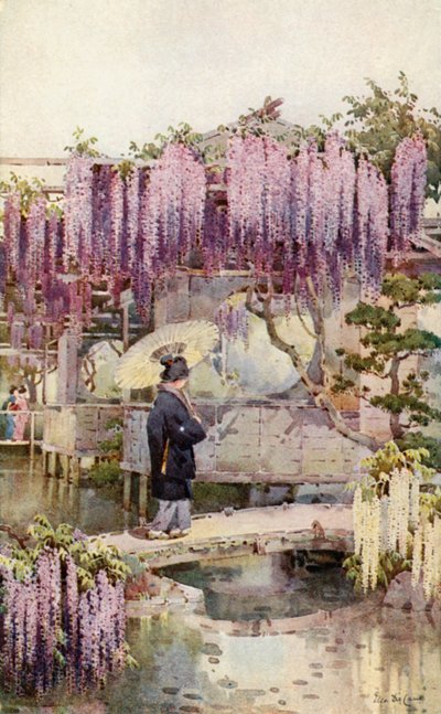 ウィスタリア、蒲田（カラーリトグラフ） 作： エラデュケイン