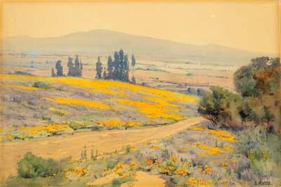 カリフォルニアの春の風景、カリフォルニア州。 1920年。 作： Elmer Wachtel