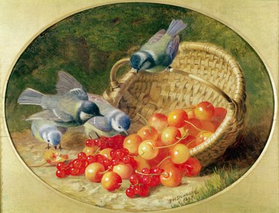 チェリーをつつくブルーティッツ、1897年 作： Eloise Harriet Stannard