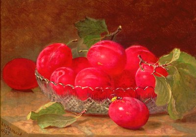 静物、1895 作： Eloise Harriet Stannard