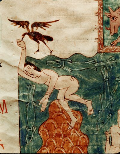 死体をほじくるカラス 作： 