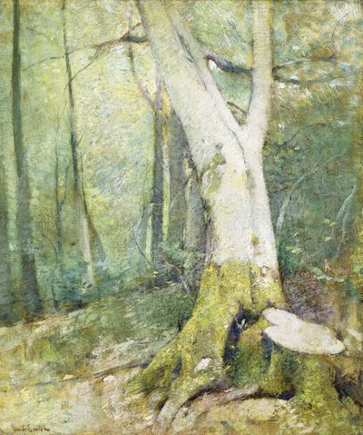 インテリアウッドランド 作： Emil Carlsen