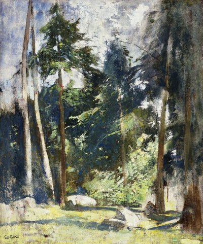 背の高い松 作： Emil Carlsen