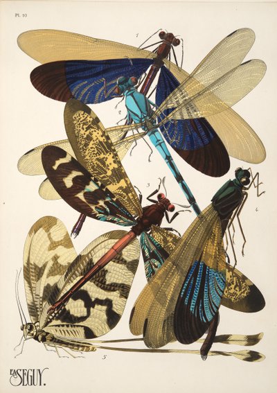 Insectes、pub のプレート 10。 1930年代（ポチョワールプリント） 作： Émile Allain Séguy