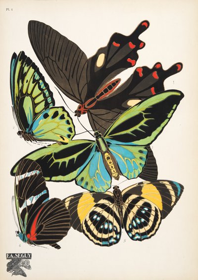プレート 1、Butterflies、パブから。 1925年（ステンシルプリント） 作： Émile Allain Séguy