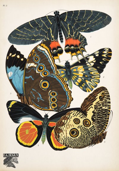 プレート 2、Butterflies、パブから。 1925年（ステンシルプリント） 作： Émile Allain Séguy