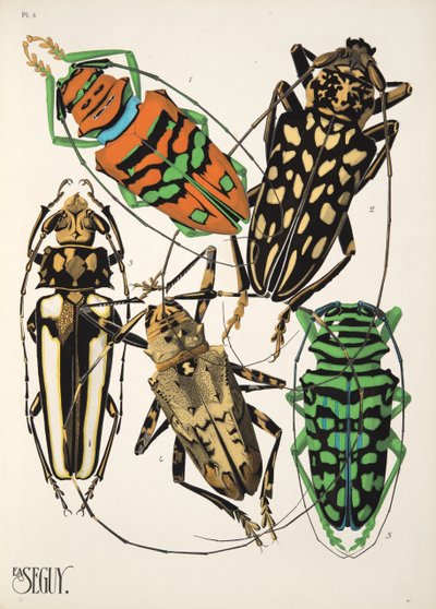 Insectes のプレート 4、パブ。 1930年代（ポチョワールプリント） 作： Émile Allain Séguy