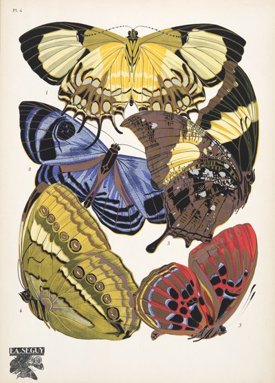 プレート 4、Butterflies、パブから。 1925年（ステンシルプリント） 作： Émile Allain Séguy