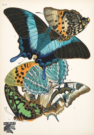 プレート 13、Butterflies、パブから。 1925年（ステンシルプリント） 作： Émile Allain Séguy