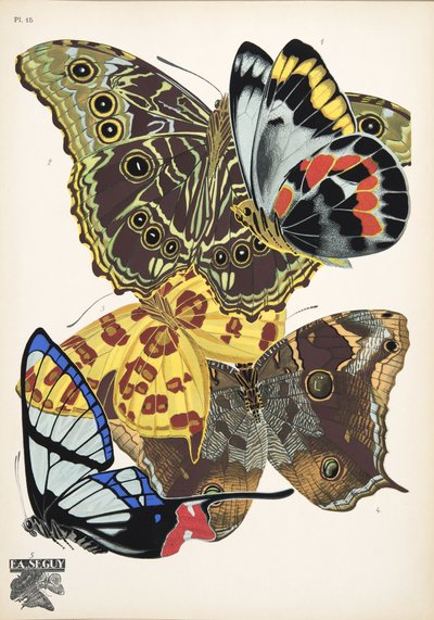 プレート 15、Butterflies、パブから。 1925年（ステンシルプリント） 作： Émile Allain Séguy