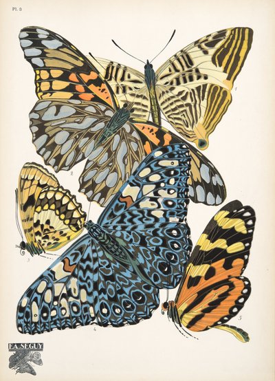 プレート 3、Butterflies から、パブ。 1925年（ステンシルプリント） 作： Émile Allain Séguy