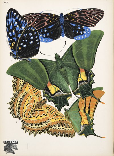 プレート 6、Butterflies、パブから。 1925年（ステンシルプリント） 作： Émile Allain Séguy