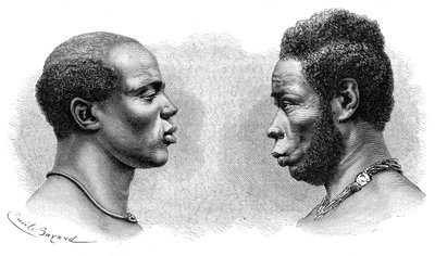 フレンチギニア出身の2人の男性、c1850-1890。 作： Emile Antoine Bayard